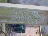 image of grave number 613926